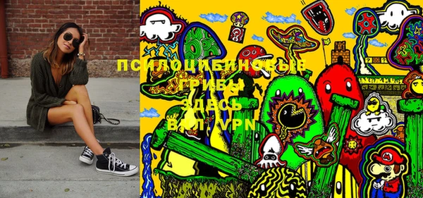 дживик Вязники