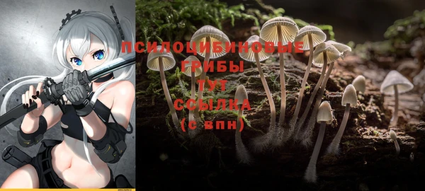 ешки Иннополис