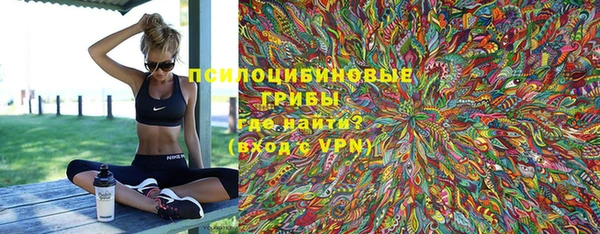 ешки Иннополис
