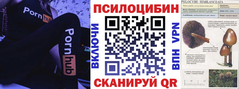 Псилоцибиновые грибы GOLDEN TEACHER  Верхнеуральск 